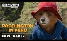 Paddington Bear in Peru.