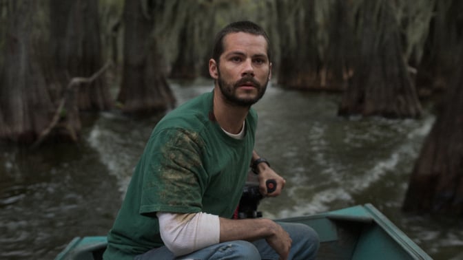 A man in a motorboat travels through a tree-filled lake.