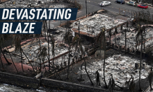 Aerial shot shows the town of Lahaina in Maui completely obliterated by the wildfires. Palm trees have been destroyed and houses have been burned to the ground. Caption reads: "Devastating blaze."