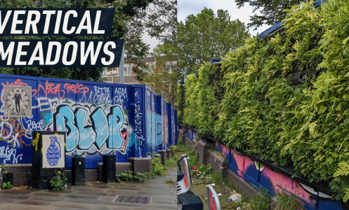 A split-screen shows two photographs of a construction hoarding – before and after the vertical meadow grew on it. Caption reads: "Vertical meadows"